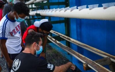 Iniciativas verdes mudam a relação de refugiados e migrantes com meio ambiente em abrigos temporários no Brasil