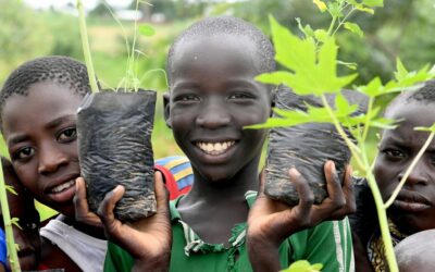 Refugiados em Camarões constroem grande muralha verde para combater a desertificação