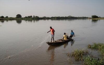 Escassez de chuva gera conflito e deslocamento em Camarões