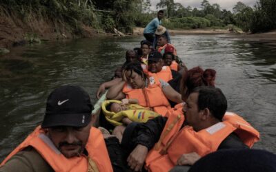 Refugiados e migrantes se arriscam na selva em busca de segurança