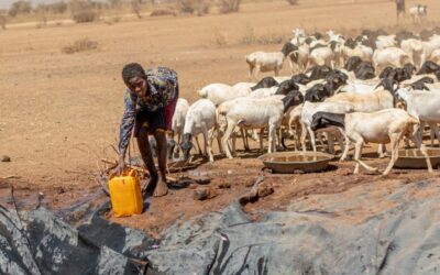 Famílias da Etiópia lutam para sobreviver à seca recorde