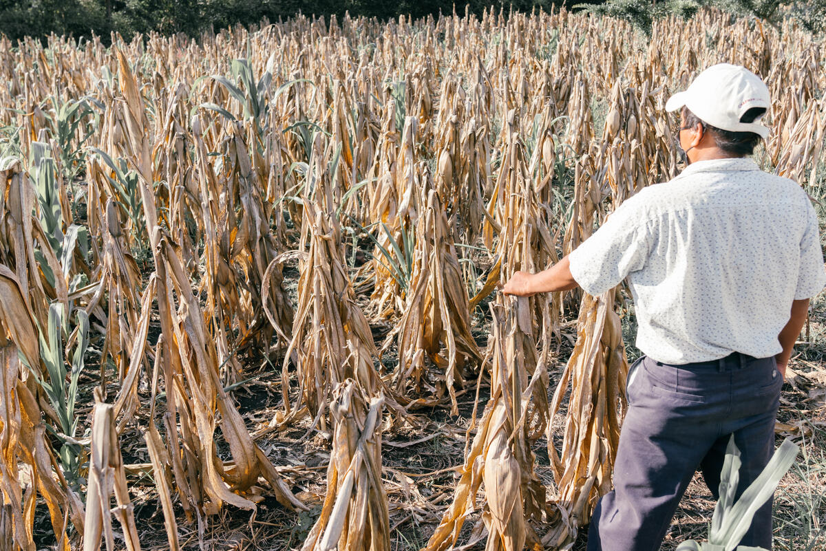 Acnur Hace Un Llamado A Fortalecer La Protección De Personas Desplazadas Por El Cambio Climático 4852