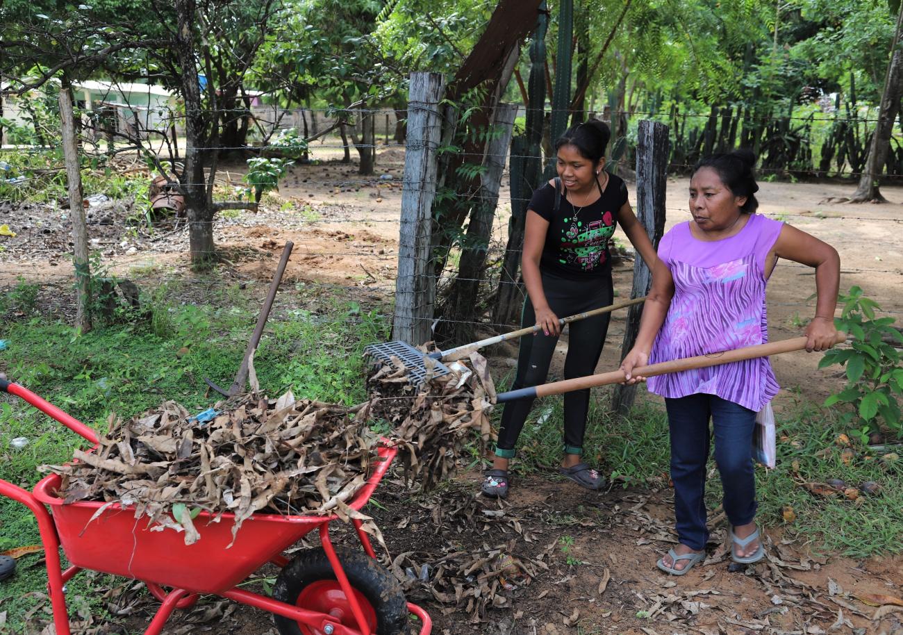 imágenes de jardines comunitarios